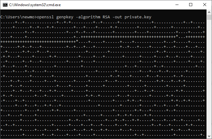 Generating a private key using OpenSSL